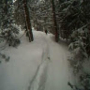 Meet your Posher, Max